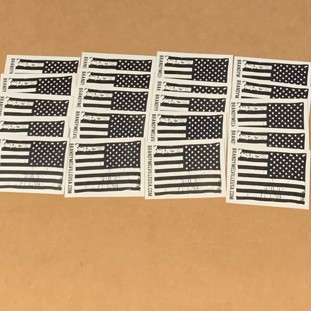 🔥20 Brandy Melville Stickers